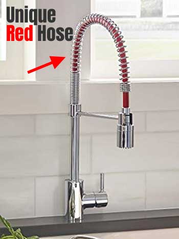 Danze Fooide Faucet with Coiled Spring Spout with Red Hose