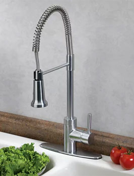 Estora Forza Faucet with Commercial Style Spring Spout